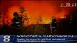 Chile: un muerto deja incendio forestal
