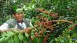 Exportaciones de café marcan récord y llegan a US$1,550 millones