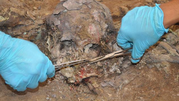 Descubrieron los restos junto a más de 120 objetos. (Andina)