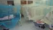 Cajamarca: 1,800 casos de dengue