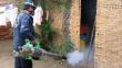Fumigarán más de 87,000 viviendas en Iquitos por el dengue