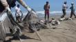 Muertes de animales marinos continuarán hasta agosto