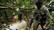 Capturan a 22 miembros de las FARC