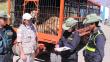 Huancayo: Rescatan leones desnutridos
