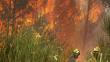 España: 4 muertos por incendio forestal
