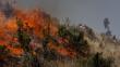 Controlan parte del incendio forestal en Tarma
