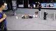Video: Policía dispara a perro pitbull que defendía a su dueño desmayado