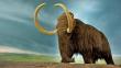 Rusia: Hallan células de mamut en buen estado para clonación