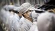 China: Se mata otro obrero de Foxconn, fábrica proveedora de Apple