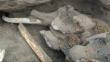 Niño descubre restos de un mamut en Rusia