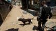 Brasil: Narcos amenazan de muerte a perro policía