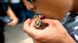 Gobierno uruguayo promete marihuana de mejor calidad que la del mercado negro
