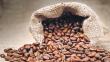 Café arábigo se extinguirá en 70 años