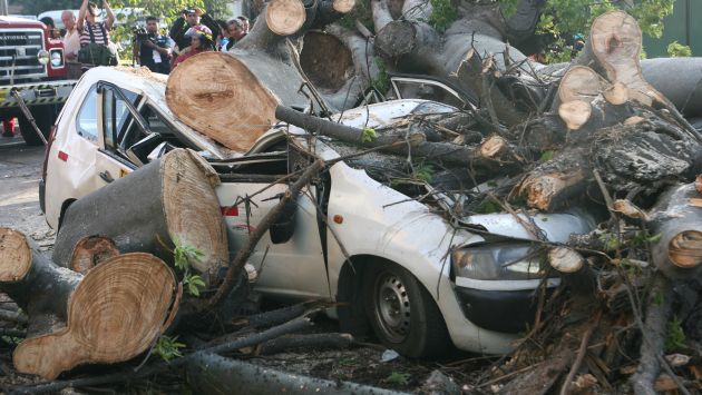 ACCIDENTE. El pesado árbol dejó dos personas lesionadas. (Rodrigo Málaga)