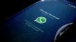 Whatsapp niega conversaciones con Facebook 