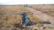 Perú y Chile culminarán retiro de minas en su frontera la próxima semana