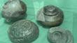 Arequipa: Hallan fósiles marinos en el distrito de Caylloma
