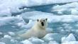 Científicos proponen volver a congelar el Ártico para evitar calentamiento global