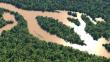 Amazonía brasileña perdió más de 1,200 kilómetros de selva en cuatro meses