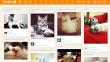 Catmoji: la nueva red social para gatos