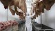 Perú se prepara para exportar carne de cerdo a Europa y Asia Pacífico