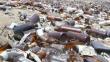 Se arrojan una 24 toneladas de basura tóxica al mes en Lima