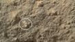 ‘Curiosity’ capta una supuesta flor en Marte