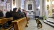 Italia: Perro va a misa todos los días desde que murió su dueña