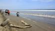 Osinergmin investiga derrame de petróleo en playa Cavero de Ventanilla