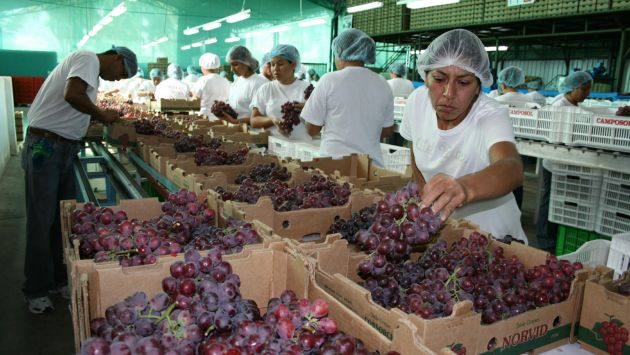 Exportaciones agropecuarias aumentaron por el envío de uvas frescas. (USI)