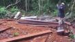 Recuperan tablares de madera extraídos ilegalmente de la Reserva de Tambopata
