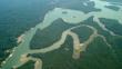 Senamhi: Ríos de selva baja llegarían a su nivel máximo de inundación en abril
