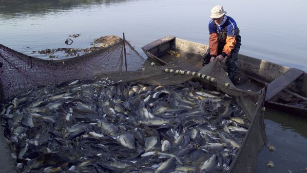 OBJETIVO. Gobierno dice que se busca proteger la pesca artesanal. (Difusión)