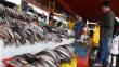 Venderán pescado barato por Semana Santa en varias partes del Perú