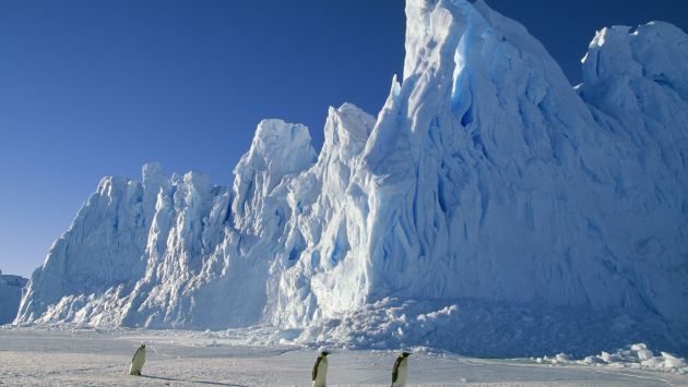 PARADOJA. La Antártida se ve más extensa que antes. (USI)