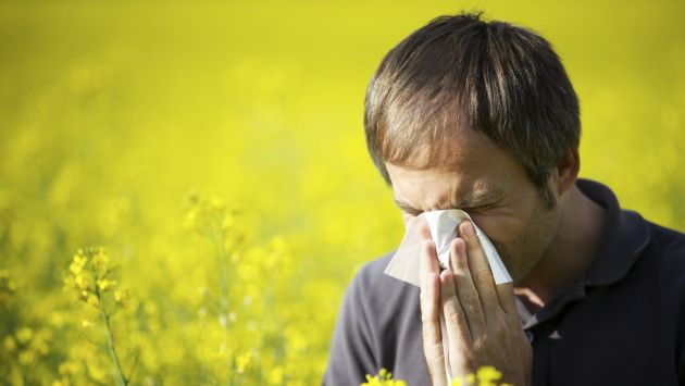 DIAGNÓSTICO. Clave para luchar contra las alergias. (USI)