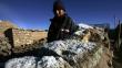 Zonas altas de Puno soportarán heladas moderadas esta semana