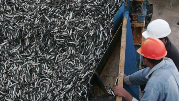 CUESTIONADA RESTRICCIÓN. Produce no pudo sustentar medida contra armadores pesqueros. (USI)