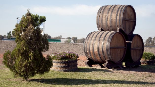 Argentina se ubica en el top 10 de los países más exportadores de vino, según el Observatorio Vitivinícola Argentino. (USI)