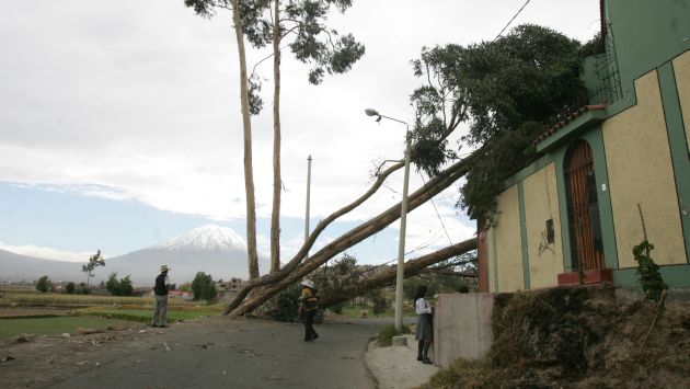 Vientos ocasionaron que viejos árboles y postes cayeran sobre las viviendas. (Heiner Aparicio)