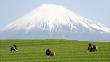FOTOS: El monte Fuji entre los nuevos patrimonios de la humanidad