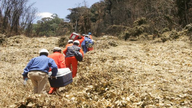 Los trabajadores fueron reducidos por los terroristas. (USI)