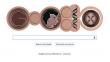 Google dedica ‘doodle’ a Rosalind Franklin, madre del ADN