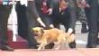 VIDEO: Seguridad del Estado maltrató a un perro durante Parada Militar