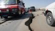 Perú: 129 sismos de mediana magnitud en lo que va del año