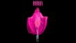 Lady Gaga lanza su nuevo single ‘Burqa’