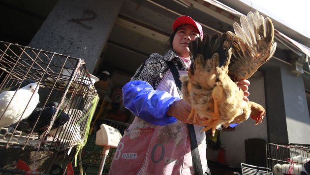 Gripe aviar causa estragos en China. (AP)