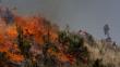 Apurímac: Incendio forestal arrasó con hectáreas de plantaciones