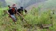 Erradican más de 6 mil hectáreas de hoja de coca en el Valle del Monzón
