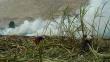 Cusco: Incendio forestal consume más de 1,500 hectáreas de pastizales